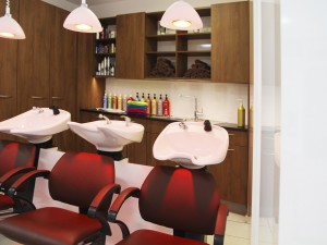 meese salon vreden 23